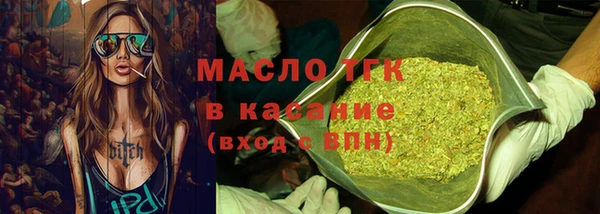 мдпв Вяземский